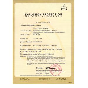 Dynamic Corporation Limited Certifications