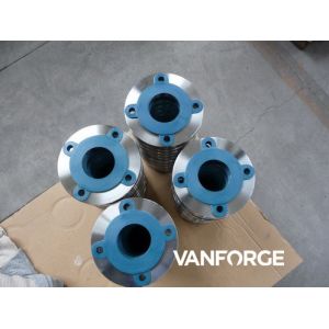 Industrial Forged Steel Flange Pressure Resistance Excellent Polishability