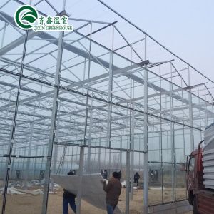 Large Glass Covered Garden Greenhouses for Versatile Planting Options