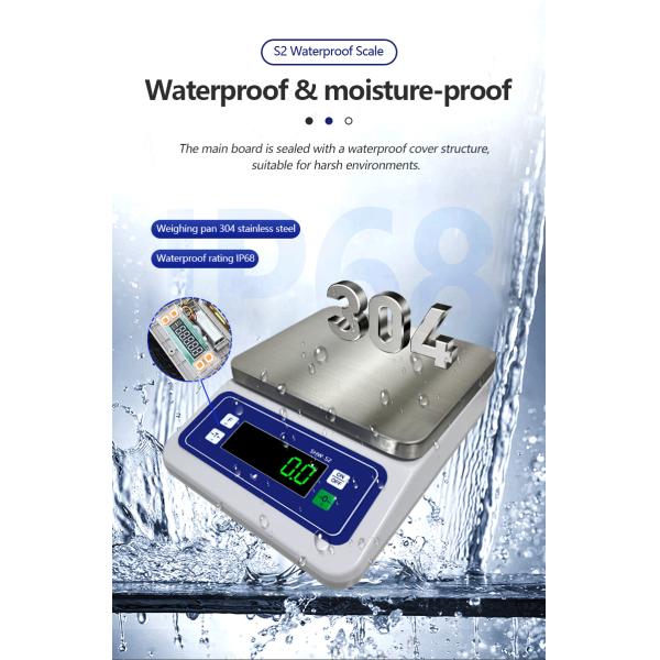 ABS Material 430 Stainless Steel Plate Table Scale for Advanced S2 Waterproof Electronic