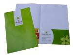 Customized folder cheap online business Colour Flyer Printing services for promo