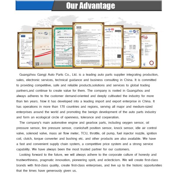 High Quality OEM 13517595339 for BMW High Pressure Fuel Pump 550i 650i 750i X5 X6