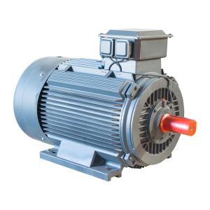 Quality IP55 3 Phase Variable Speed AC Motor Induction Iron Cast 100% Output Power wholesale