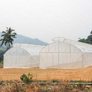 China Top Vent Automatic Multi Tunnel Umbrella Single Span Greenhouse For Tomato Planting on sale