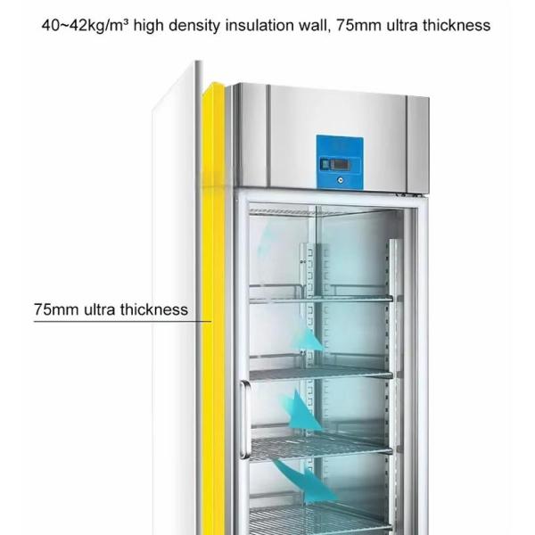 Commercial Kitchen Freezer Single Temperature Stainless Steel Double Door Refrigerator Air Cooled Refrigerator