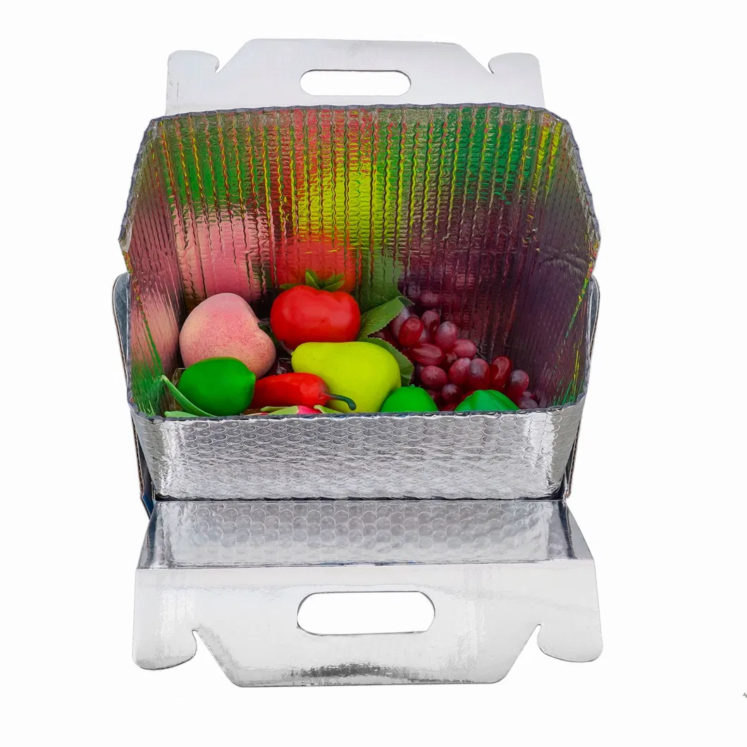 Basic Customization Thermal Break / Resistant 3D Box Liner Insulation Cooler Bag Cold Chain Insulated Aluminum Foil Bag Heat Cold Insulation Bag
