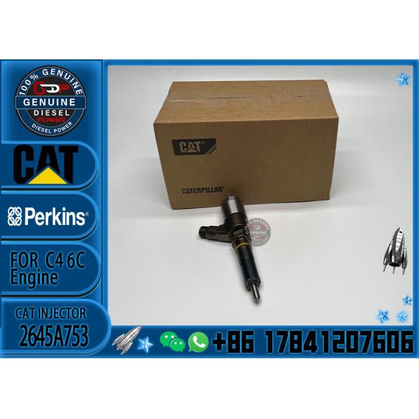 diesel injector 2645A753 common rail injector 321-3600 for Caterpillar engine C6.6 for Caterpillar C6.6 953D D6K D6K LGP