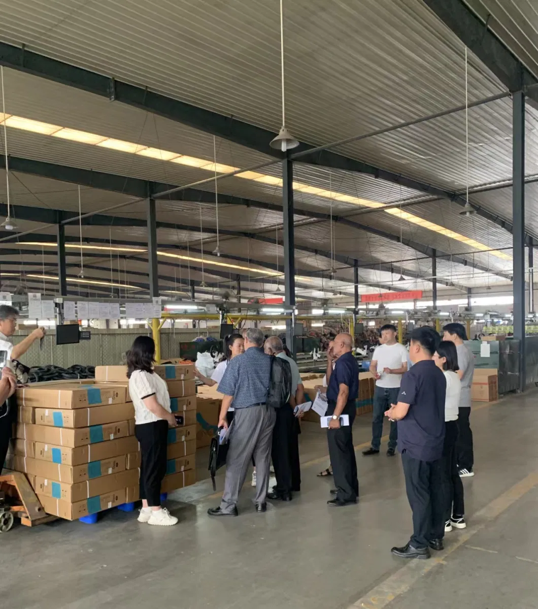 3-8 Years Boys Girls Plastic Kids 3 Wheel Scooter Three Wheel Standing Scooter 30kg