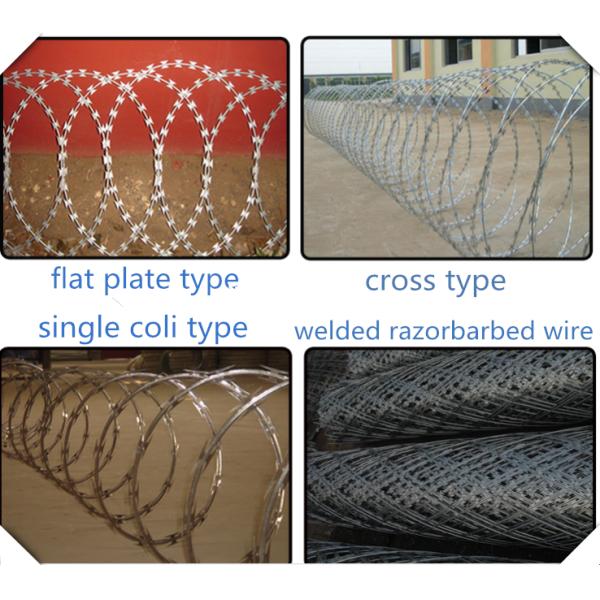 Hot Dip Galvanized BTO-22 Concertina Razor Barbed Wire with 450mm Diameter