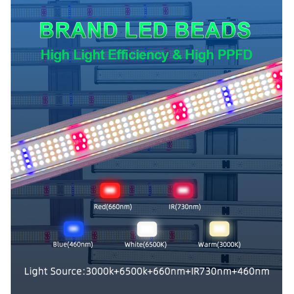 High PPFD Detachable LED Grow Light 500W Full Spectrum LM281B LED Grow Tent Lights