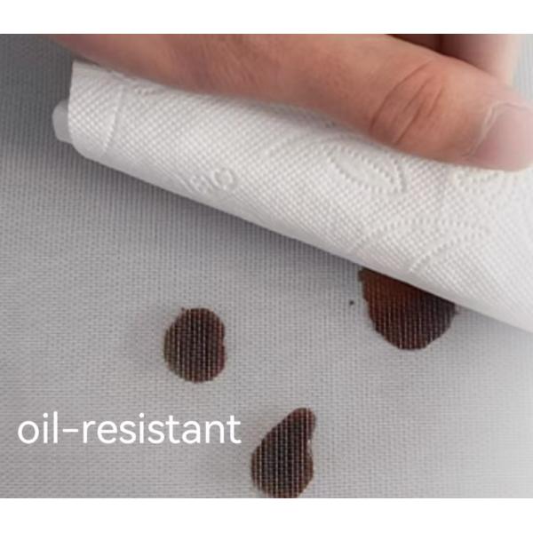 Oil-resistant fiberglass insect screen