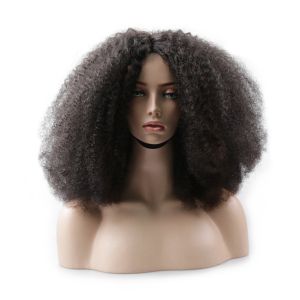 China Peruvian Full Lace Human Hair Wigs Remy afro curly Wig on sale