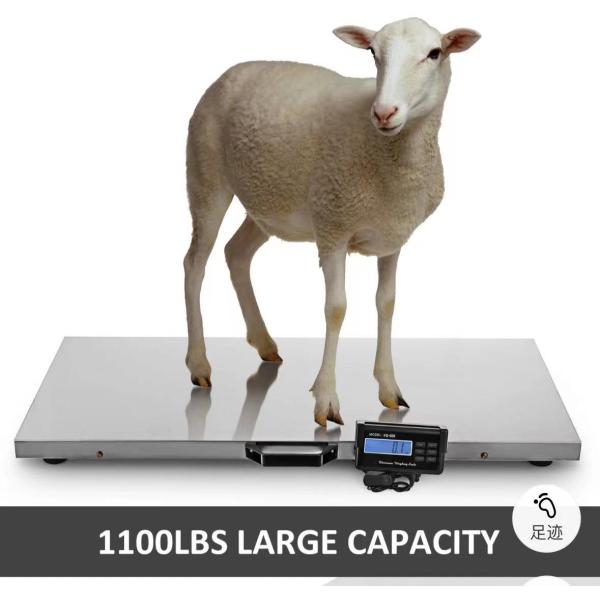 Carbon Steel Customizable Animal Weighing Scale 500kg Max Capacity 1100LBS 0.1kg Accuracy for Cattle Weight Measurement