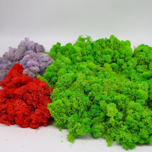 All Colors Preserved Natural Moss Balls With Long Preserving Time