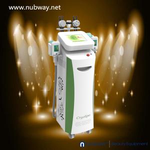 Quality vertical cryolipolysis fat freezing machine with 4 wholesale