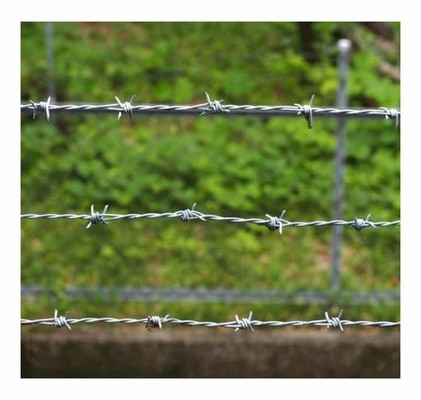 Cheap Spiral Barbed Wire Defensive Galvanized Barbed Wire Installation Security Fence for sale