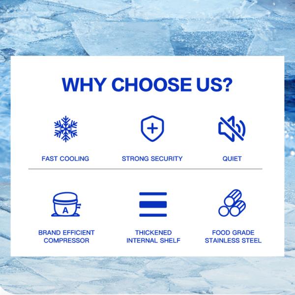 Shop Upright Display Freezer Stainless Steel Moveable Stand Up Display Freezer