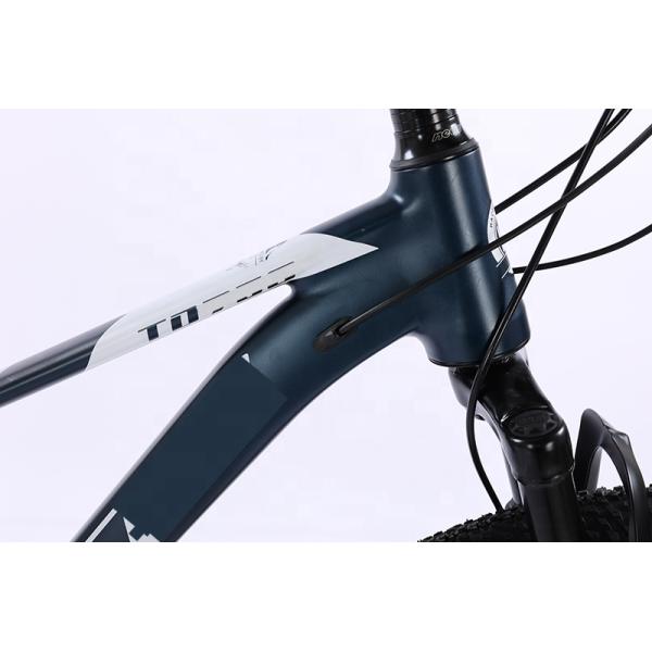 OEM MTB Spoked Wheel Aluminium Alloy Mountainbike Simulated Carbon Fiber Frame 29 Inch Bicycle Suitable for Man Cycling