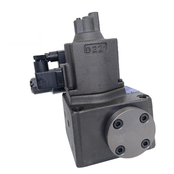 Original New Proportional Valve EFBG-06-250-C EFBG-03-125-H-15C19 EFBG-06-250-C-20T145 for Injection Molding Machine