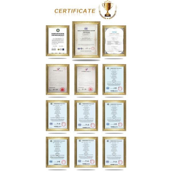 2022 High Popularity Adult Gasoline Motorcycle 250cc Adult Cargo Moto Truck Tricycle