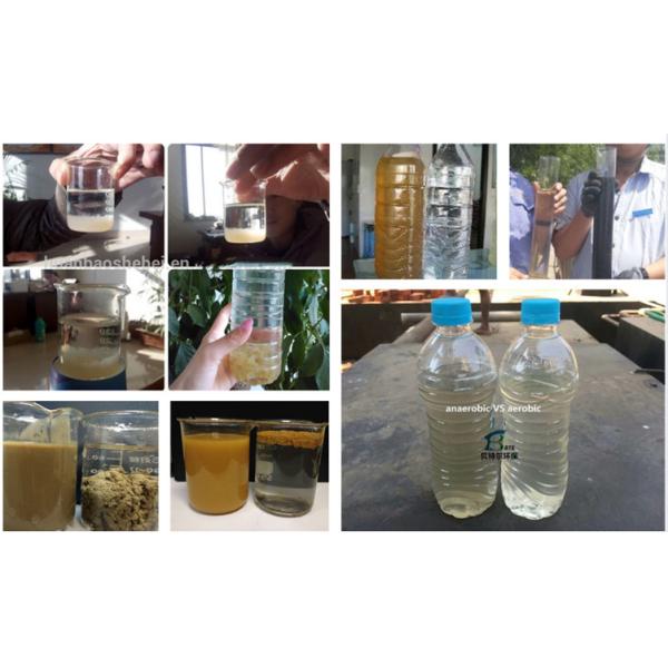 Seaworthy Packing 3-37kw Type Hospital Sewage Pretreatment Dissolving Air Float Machine