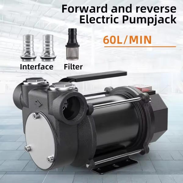 Oil Pump High Flow Compact Size 220 Volt 60L/min Portable Diesel Fuel Transfer Pump