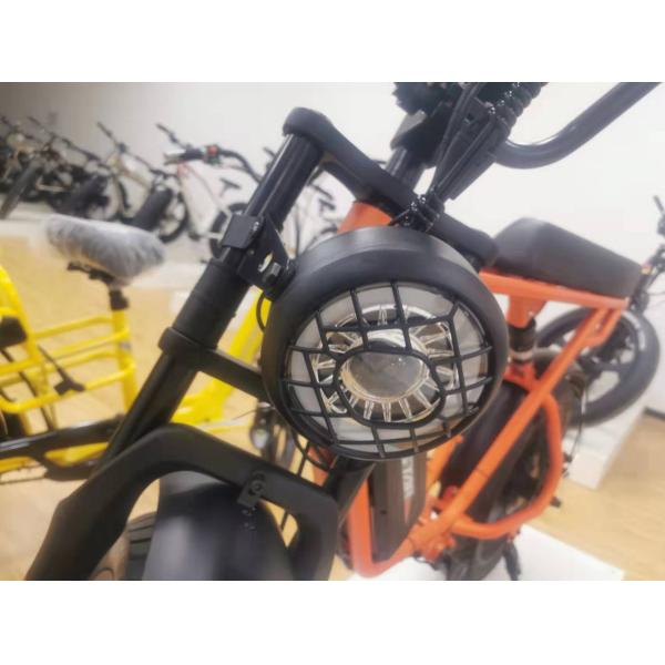 Double Disc Brake 48V 1000W Motor Ebike 20 Inch Electric Fat Tire Bicycle With Kenda Tire