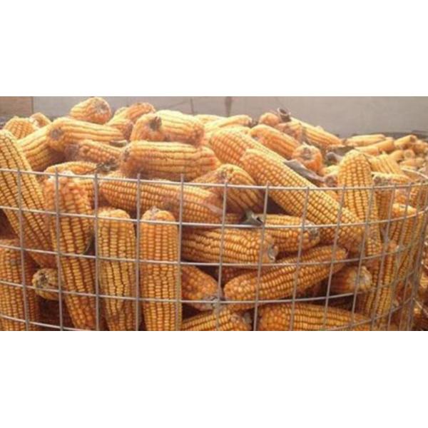 Garden Galvanized Pvc Coated Wire Mesh 30m Length 6 Foot Wire Fence Roll