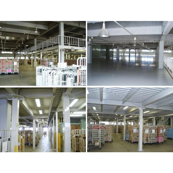 Steel Structure Garret Mezzanine Building 