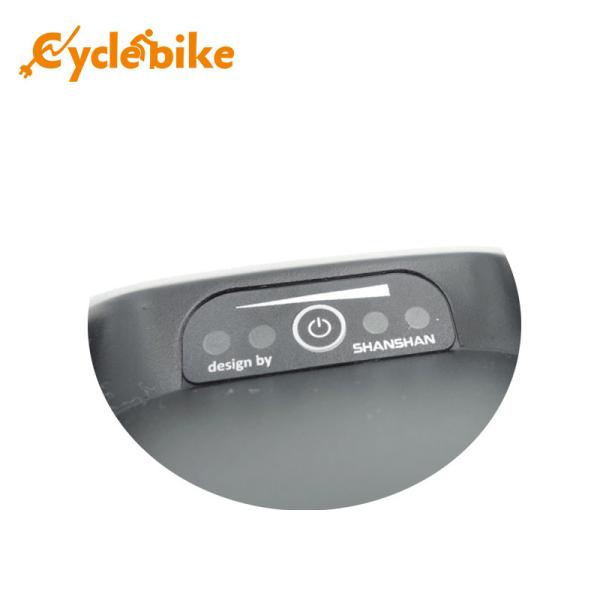 48v 10.4ah Hailong Electric Bike Battery And 2A Charger 18 Months Warranty