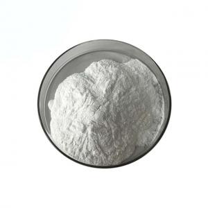 Quality 99% Purity CAS 6020-87-7 Creatine Monohydrate Powder Manufacturer Supply wholesale