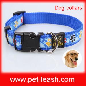 China Teddy dog collar pet safety collar QT-0098 on sale