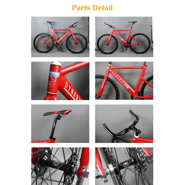 Fashion style aluminium alloy 700c fixed gear bike/bicicle with 560mm frame height