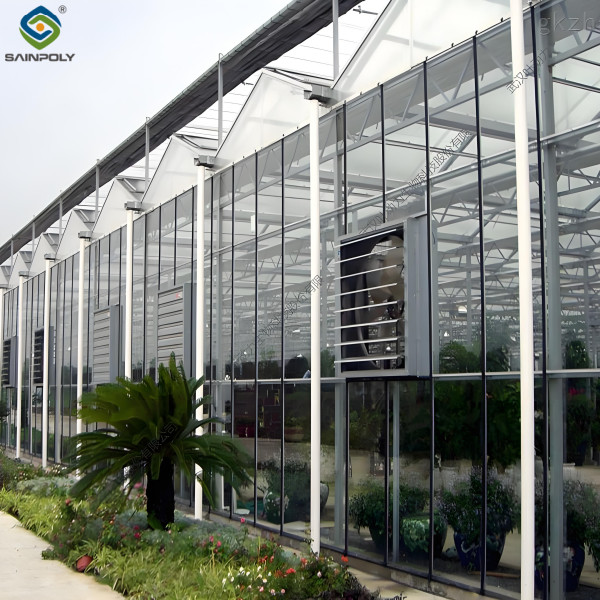 Smart Multi Span Venlo Glass Greenhouse Solar Photovoltaic Greenhouses Fruit Planting