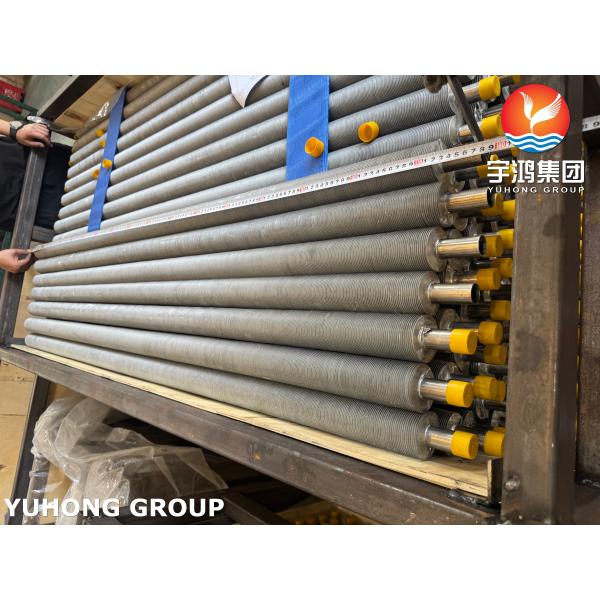 Stainless Steel Seamless Tube TP304, 1.4301 Extruded Fin Tube For Air Cooler