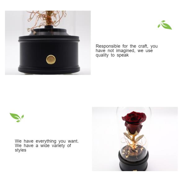 Eternal Handmade Design Preserved Rose Glass Dome With Bluetooth Speaker