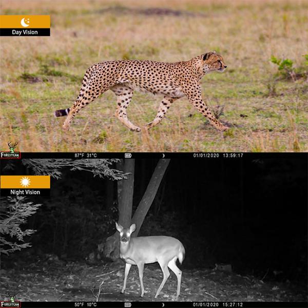 32mp 4K Full High Definication 2 Inches Screen Time Lapse Trail Camera