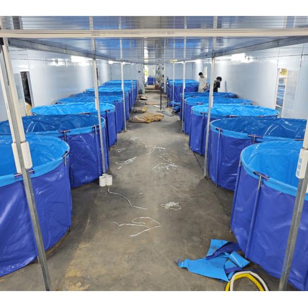 7000 Liters Diameter 3m X Height 1m Square/Round Fish Pond 1800 Gallon Foldable Plastic Tank Swimming Pool For Promotion
