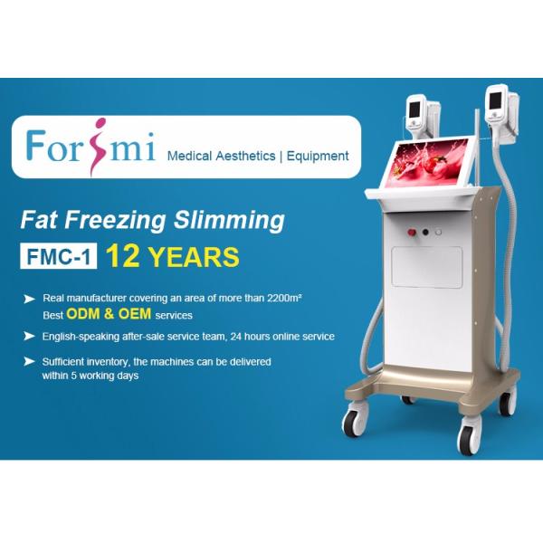 Forimi best fat freezing body contouring salons cryolipolysis beauty machine