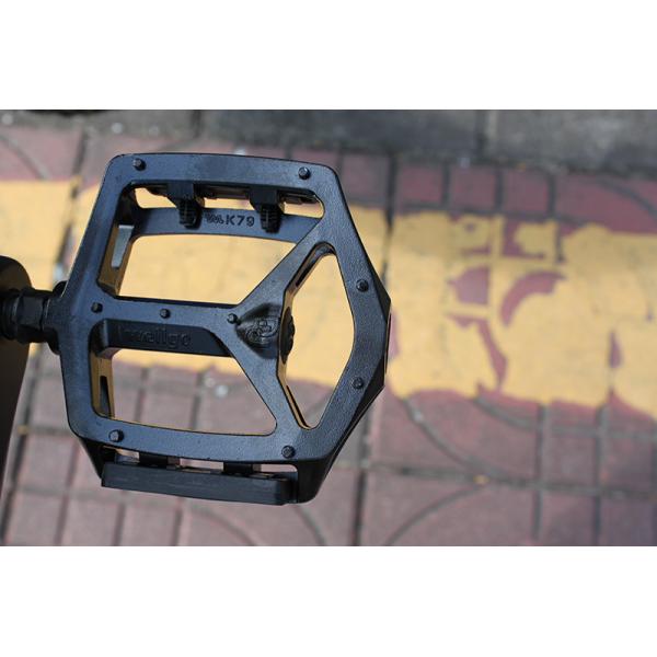 Aluminum Alloy Electric Fat Bike Snow Resistance 26 Inch Multi Color Optional