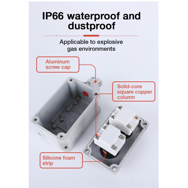 Explosion Proof Control Button with Green Light WF1 Grade