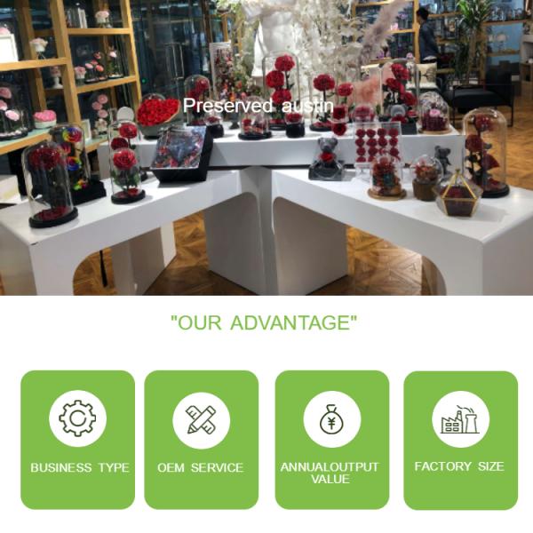 Long Lasting Preserved Rose Dome , 4-5cm Luxury Preserved Roses In Austin