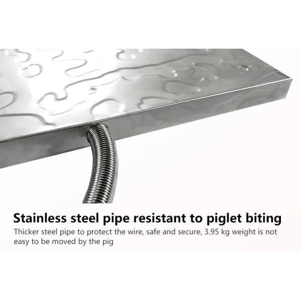 Industrial Animals Outdoor Warming Pads Energy Saving For Keeping Piglets Warm