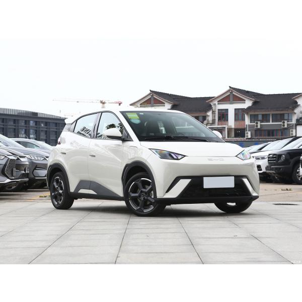 Free Version BYD Full Electric Car Warm Sun White 55KW Pure Electric Car