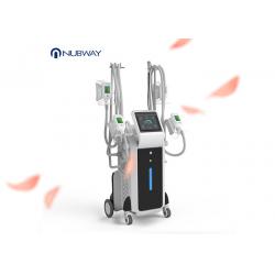 China High Efficiency Multifunction Slimming Machine Fat Freezing Lipolysis Weight Loss System for sale