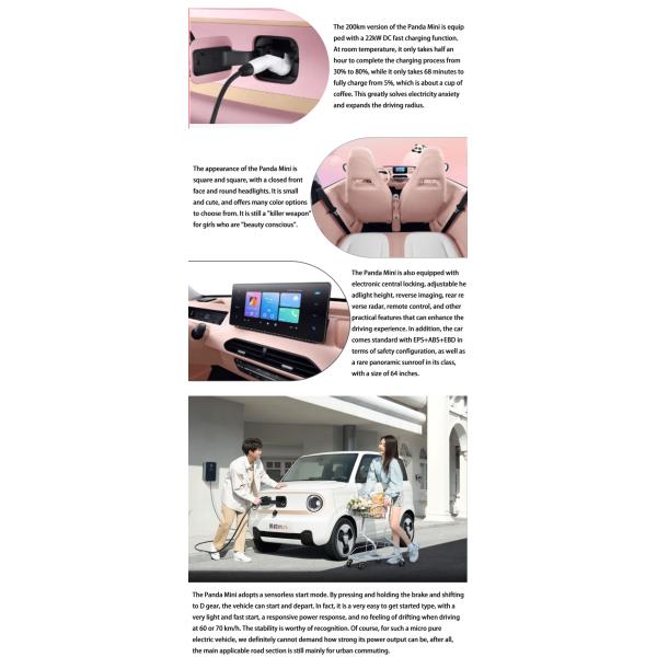 Automotive Used Mini EV Cars Electric Vehicles Geely Panda For Adult