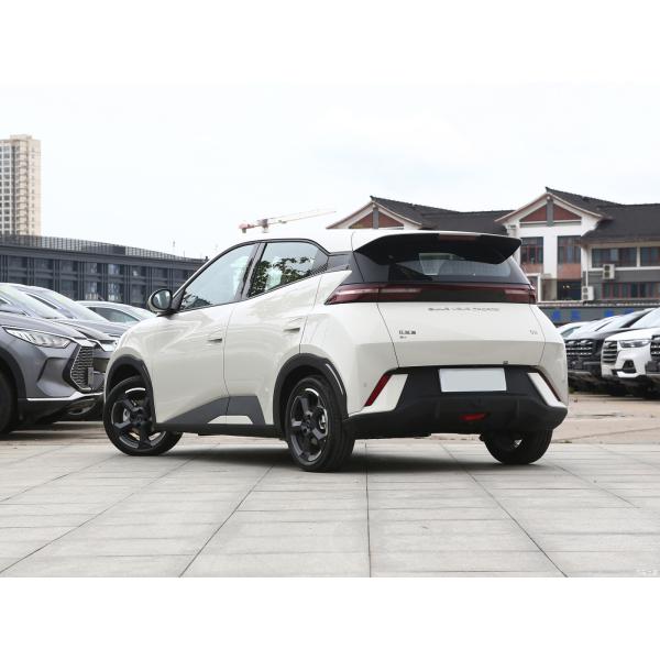 Free Version BYD Full Electric Car Warm Sun White 55KW Pure Electric Car