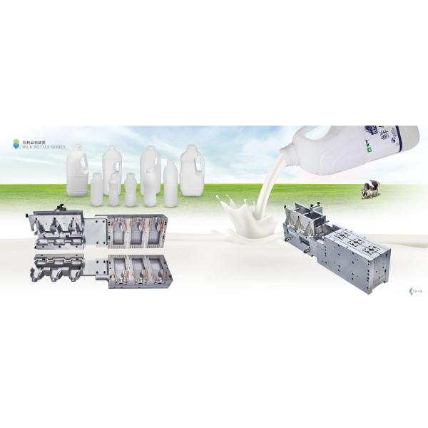 Extrusion Custom Made Plastic Jerry Can Blow Molding Mould