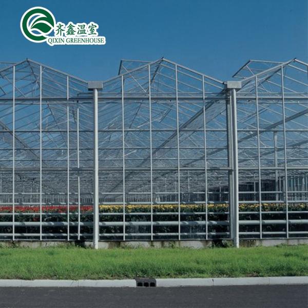 Multi-Span Agricultural Greenhouses Top Covering with Tempered Glass or PC Sheet