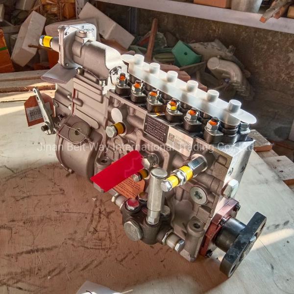 40 Kgs Vg1560080022 PS8500 Fuel Injection Pump for HOWO Weichai Wd615.69 336HP as Shown